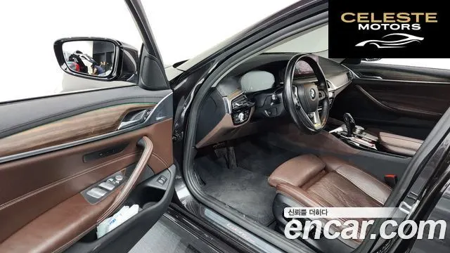 BMW Série 5 (G30) 520d xDrive Luxury Plus 2019 — photo 12 sur 33