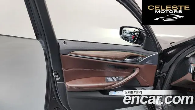BMW Série 5 (G30) 520d xDrive Luxury Plus 2019 — photo 13 sur 33