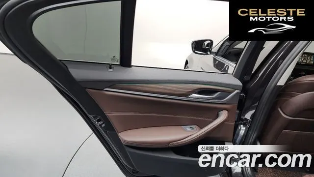 BMW Série 5 (G30) 520d xDrive Luxury Plus 2019 — photo 14 sur 33