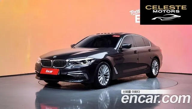 BMW Série 5 (G30) 520d xDrive Luxury Plus 2019 — photo 33 sur 33