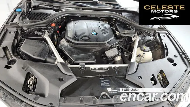 BMW Série 5 (G30) 520d xDrive Luxury Plus 2019 — photo 5 sur 33