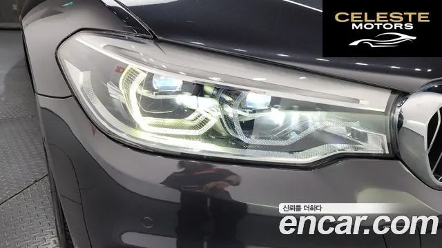 BMW Série 5 (G30) 520d xDrive Luxury Plus 2019 — photo 7 sur 33