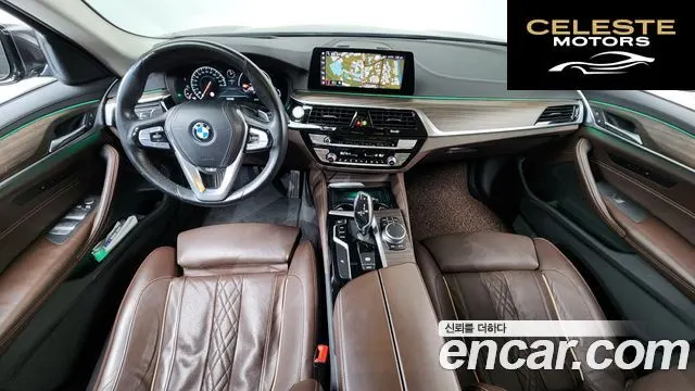 BMW Série 5 (G30) 520d xDrive Luxury Plus 2019 — photo 9 sur 33