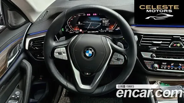 BMW Série 5 (G30) 530i xDrive Luxury 2023 — photo 19 sur 32