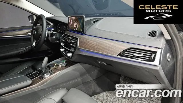 BMW Série 5 (G30) 530i xDrive Luxury 2023 — photo 32 sur 32