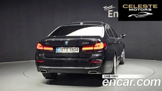 BMW Série 5 (G30) 530i xDrive Luxury 2023 — photo 4 sur 32