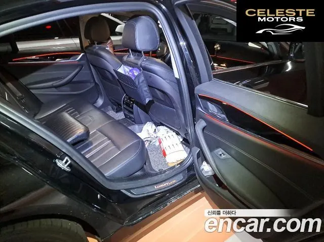 BMW Série 5 (G30) 520i Luxury 2019 — photo 14 sur 20
