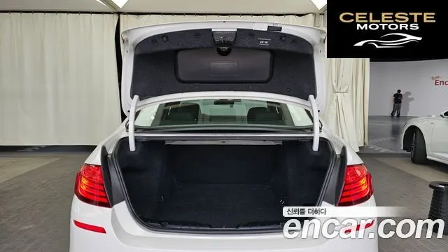 BMW Série 5 (F10) 520d M Aéro Dynamic 2016 — photo 20 sur 26