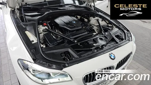 BMW Série 5 (F10) 520d M Aéro Dynamic 2016 — photo 6 sur 26