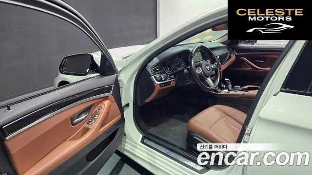 BMW Série 5 (F10) 520d M Aéro Dynamic 2016 — photo 11 sur 20
