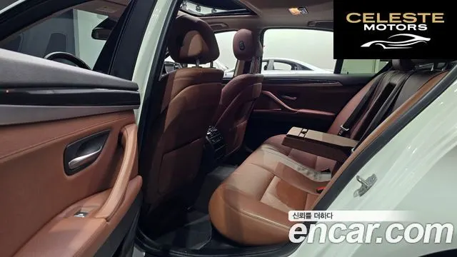 BMW Série 5 (F10) 520d M Aéro Dynamic 2016 — photo 12 sur 20