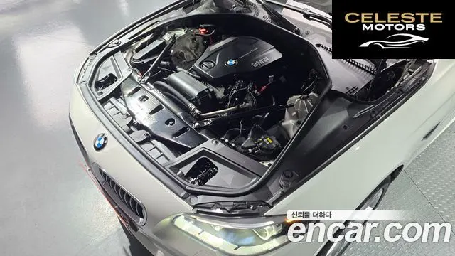 BMW Série 5 (F10) 520d M Aéro Dynamic 2016 — photo 6 sur 20