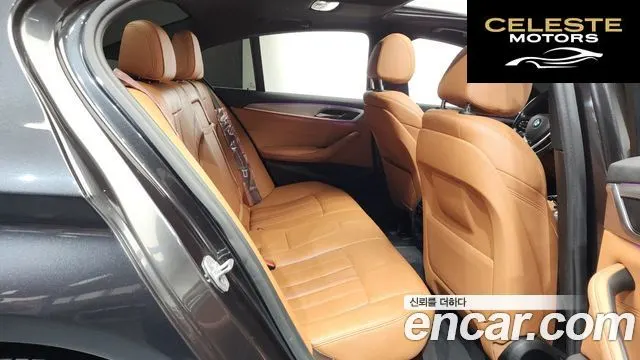 BMW Série 5 (G30) 520d M Sport 2018 — photo 19 sur 20