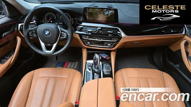 BMW Série 5 (G30) 520i Luxury 2019 — photo 10 sur 33