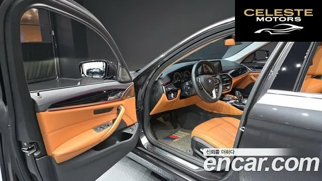 BMW Série 5 (G30) 520i Luxury 2019 — photo 13 sur 33