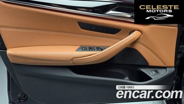 BMW Série 5 (G30) 520i Luxury 2019 — photo 14 sur 33