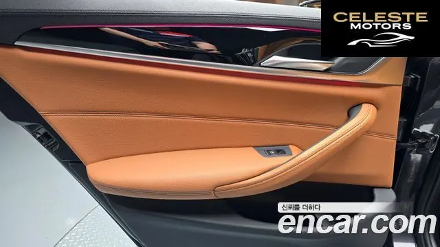 BMW Série 5 (G30) 520i Luxury 2019 — photo 15 sur 33