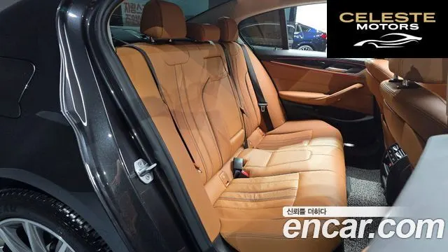 BMW Série 5 (G30) 520i Luxury 2019 — photo 17 sur 33