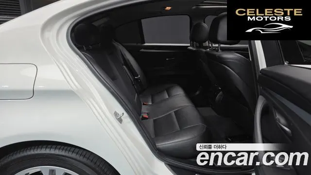BMW Série 5 (F10) 520d M Aéro Dynamic 2016 — photo 11 sur 20