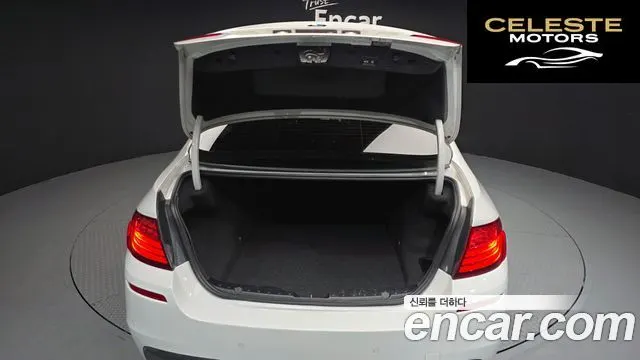 BMW Série 5 (F10) 520d M Aéro Dynamic 2016 — photo 20 sur 20