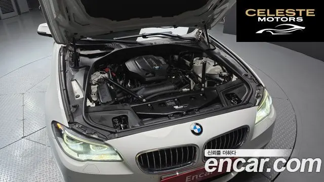 BMW Série 5 (F10) 520d M Aéro Dynamic 2016 — photo 6 sur 20