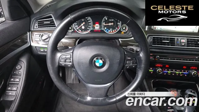 BMW Série 5 (F10) 520d Luxury Plus 2016 — photo 12 sur 20