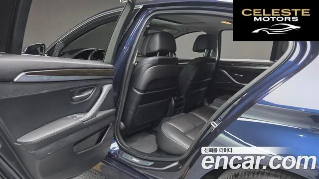 BMW Série 5 (F10) 520d Luxury Plus 2016 — photo 15 sur 20