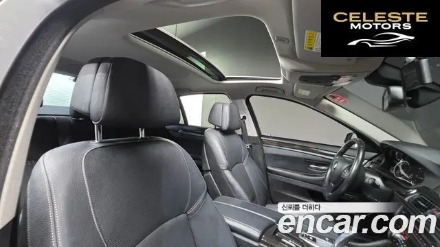 BMW Série 5 (F10) 520d Luxury Plus 2016 — photo 20 sur 20