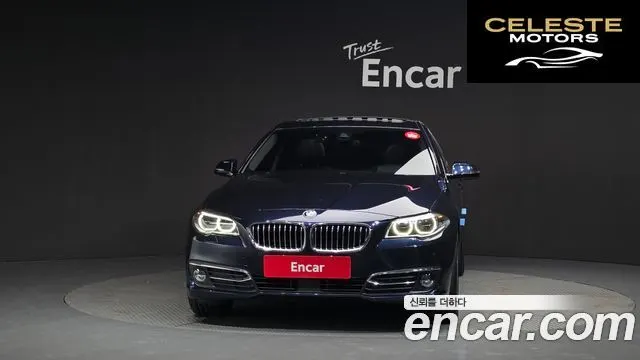 BMW Série 5 (F10) 520d Luxury Plus 2016 — photo 3 sur 20