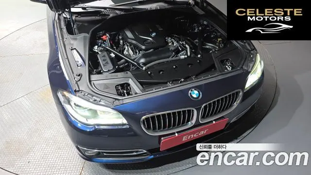BMW Série 5 (F10) 520d Luxury Plus 2016 — photo 6 sur 20