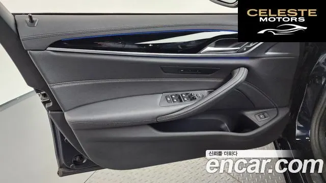 BMW Série 5 (G30) 520i Luxury 2020 — photo 14 sur 34