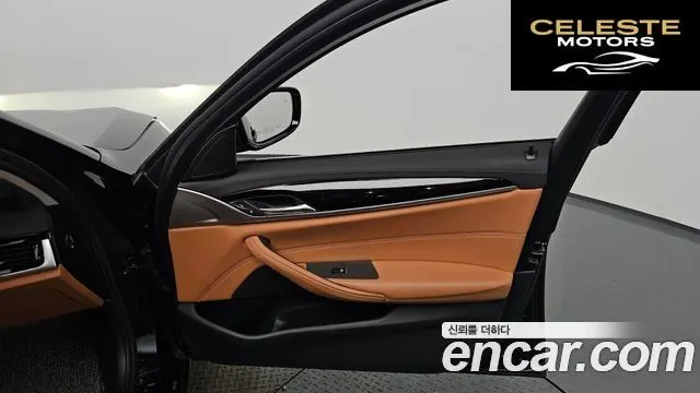 BMW Série 5 (G30) 520i Luxury 2020 — photo 13 sur 36