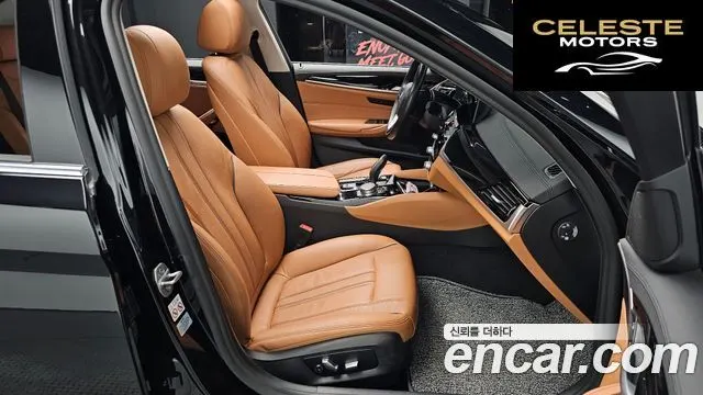 BMW Série 5 (G30) 520i Luxury 2020 — photo 15 sur 36