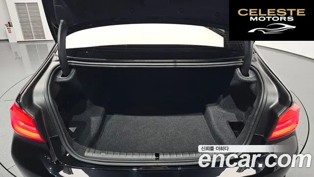 BMW Série 5 (G30) 520i Luxury 2020 — photo 25 sur 36