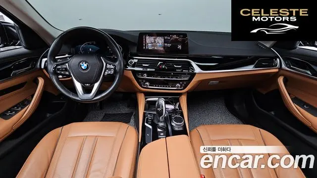 BMW Série 5 (G30) 520i Luxury 2020 — photo 9 sur 36