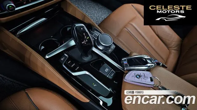 BMW Série 5 (G30) 520i Luxury 2020 — photo 11 sur 36