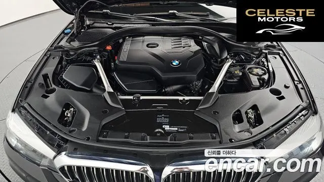 BMW Série 5 (G30) 520i Luxury 2020 — photo 5 sur 36