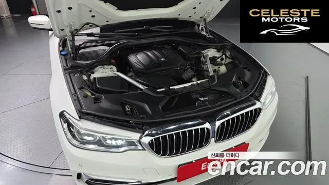 BMW Série 5 (G30) 520d Luxury Spécial Edition 2019 — photo 6 sur 20