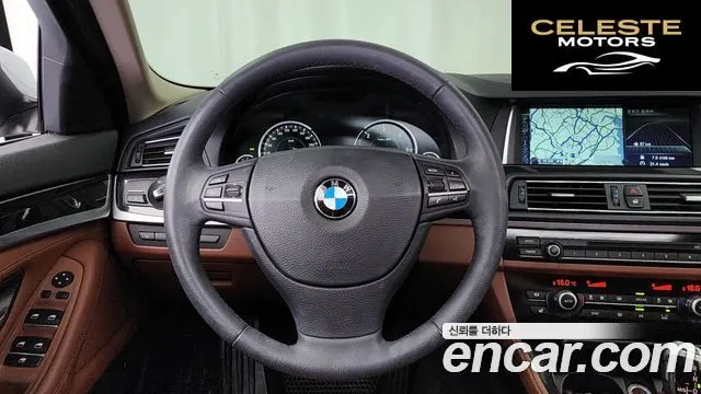 BMW Série 5 (F10) 520d xDrive 2014 — photo 13 sur 20