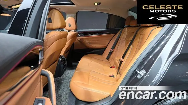 BMW Série 5 (G30) 520i Luxury 2019 — photo 18 sur 33