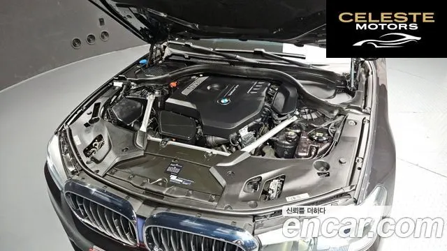 BMW Série 5 (G30) 520i Luxury 2019 — photo 6 sur 33