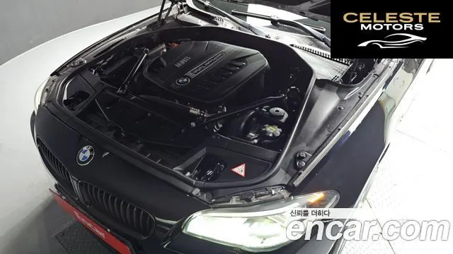 BMW Série 5 (F10) 530d xDrive M Aéro Dynamic 2016 — photo 6 sur 20