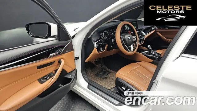 BMW Série 5 (G30) 520d Luxury Spécial Edition 2018 — photo 10 sur 20