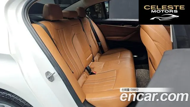 BMW Série 5 (G30) 520d Luxury Spécial Edition 2018 — photo 11 sur 20