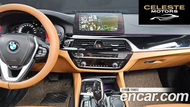 BMW Série 5 (G30) 520d Luxury Spécial Edition 2018 — photo 13 sur 20