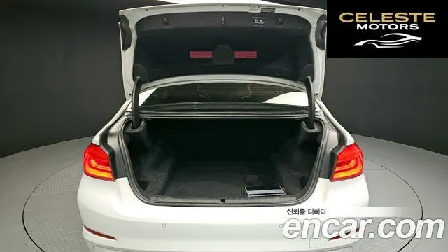 BMW Série 5 (G30) 520d Luxury Spécial Edition 2018 — photo 20 sur 20