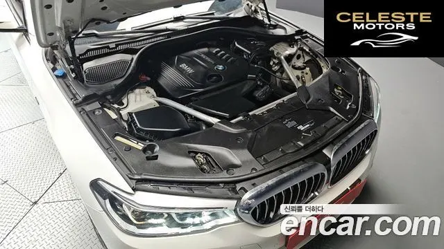 BMW Série 5 (G30) 520d Luxury Spécial Edition 2018 — photo 6 sur 20
