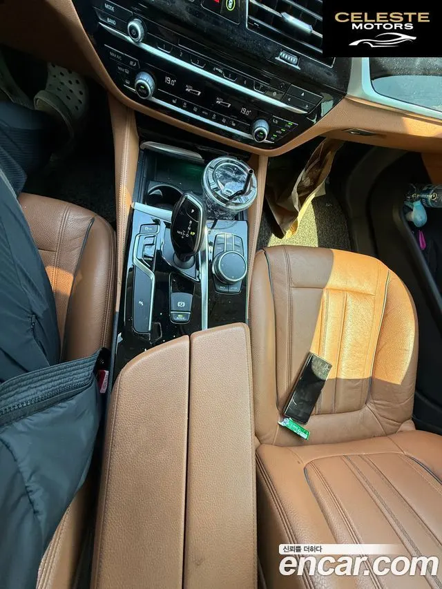 BMW Série 5 (G30) 520d Luxury Spécial Edition 2018 — photo 7 sur 11