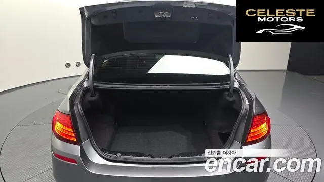BMW Série 5 (F10) 520d M Aéro Dynamic 2016 — photo 20 sur 20