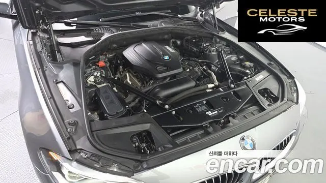 BMW Série 5 (F10) 520d M Aéro Dynamic 2016 — photo 6 sur 20